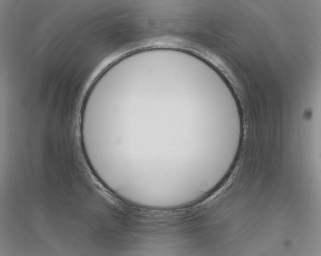X0000116881232201002021141