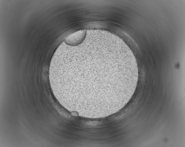 X0000116881233201002021141