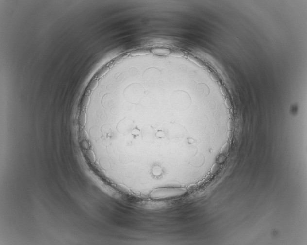 X0000116881235201002021141