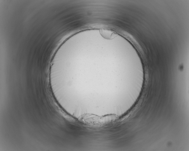 X0000116881236201002021141