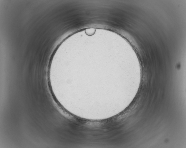 X0000116881237201002021141