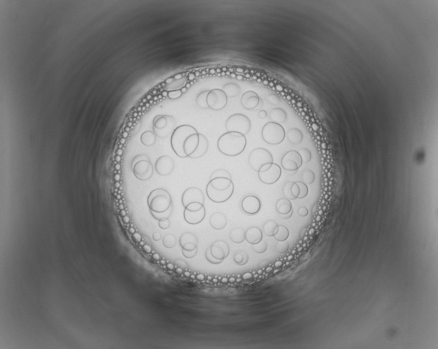 X0000116881239201002021141