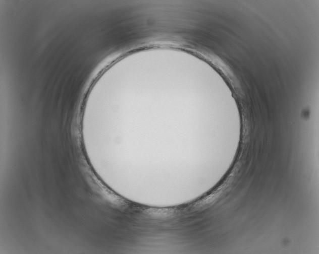 X0000116881240201002021141