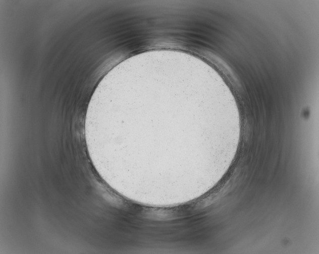 X0000116881241201002021141