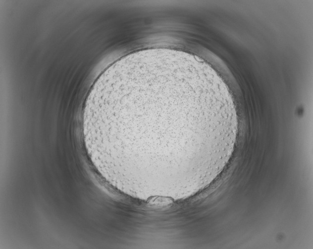 X0000116881242201002021141