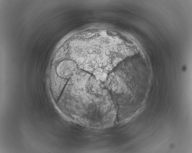 X0000116881245201002021141