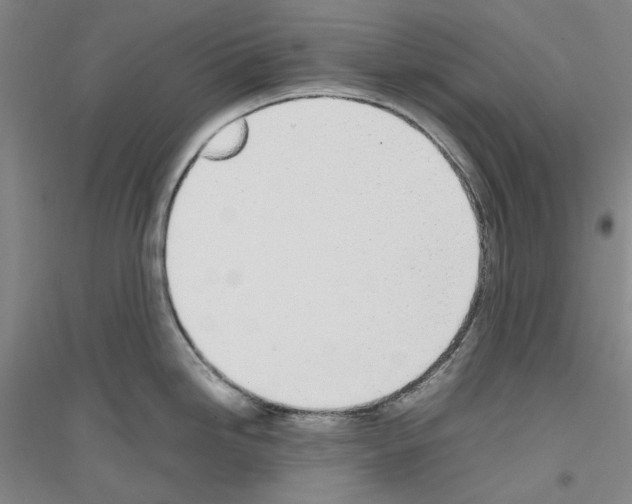 X0000116881246201002021141