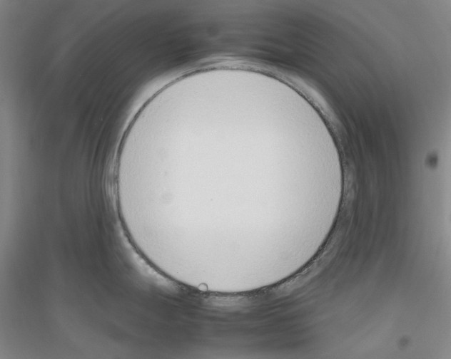 X0000116881247201002021141