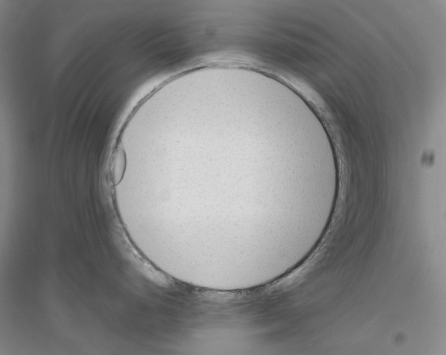 X0000116881248201002021141