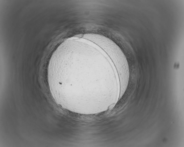 X0000116881249201002021141