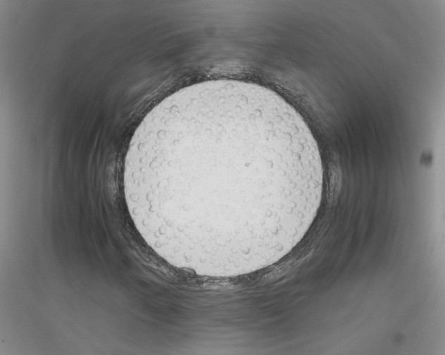 X0000116881250201002021141