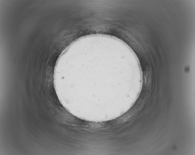X0000116881251201002021141