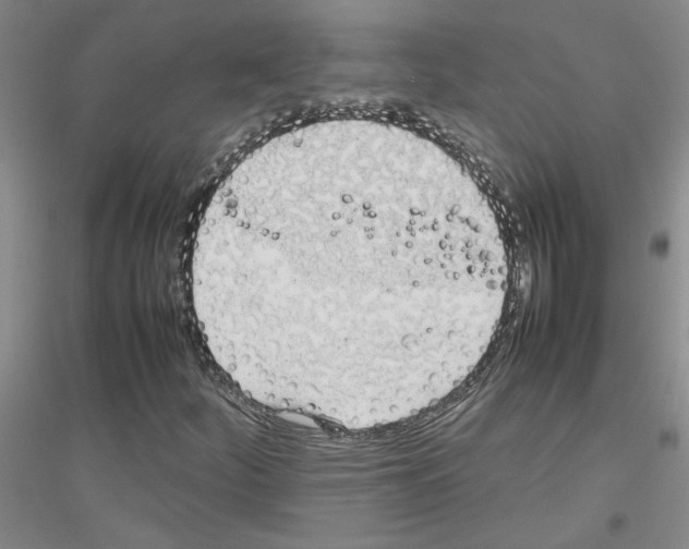 X0000116881252201002021141