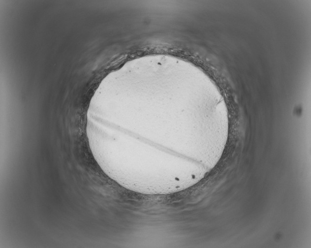 X0000116881253201002021141