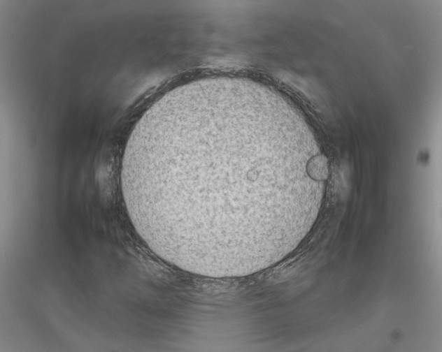 X0000116881254201002021141