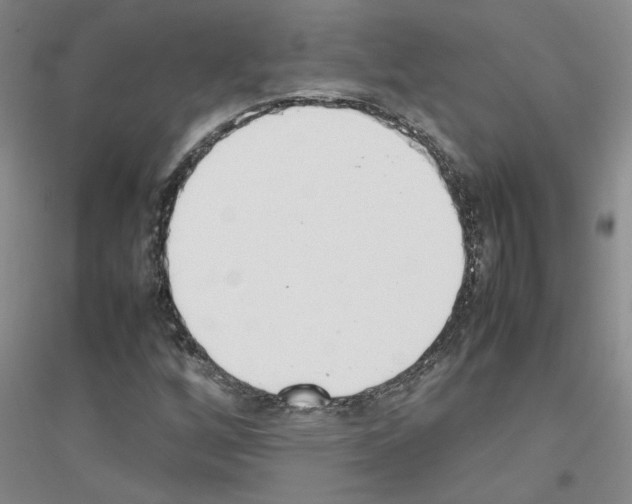 X0000116881256201002021141