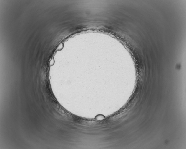 X0000116881257201002021141