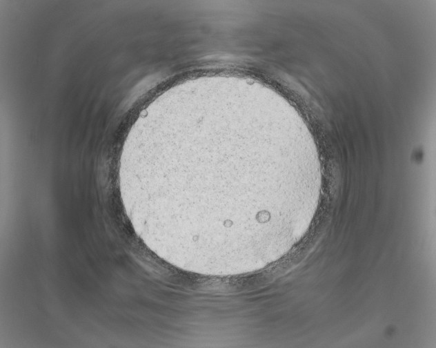 X0000116881259201002021141