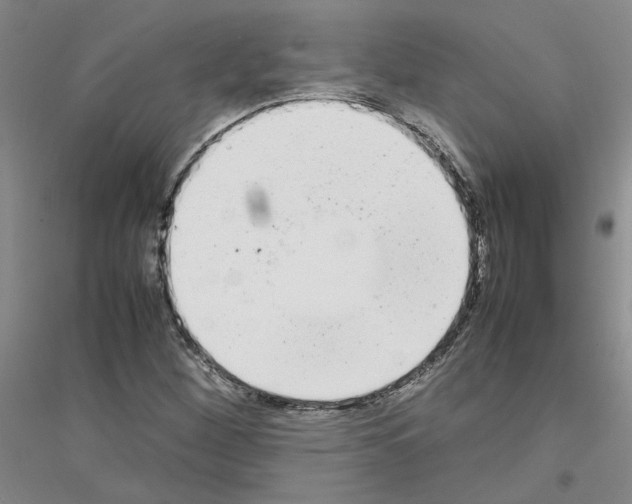 X0000116881260201002021141