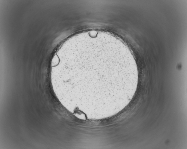 X0000116881261201002021141