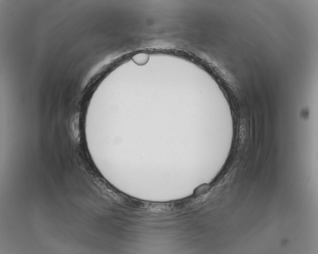 X0000116881262201002021141