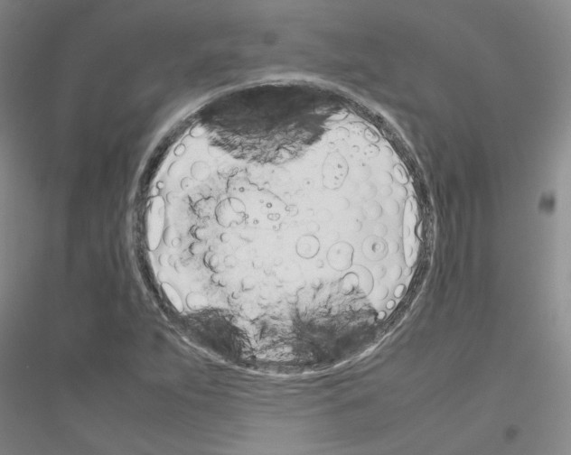 X0000116881263201002021141