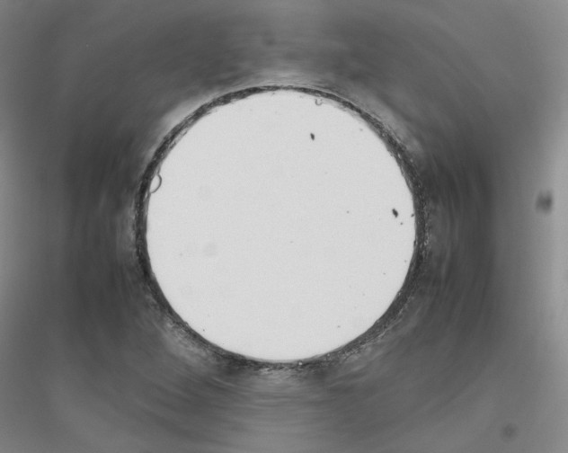X0000116881264201002021141