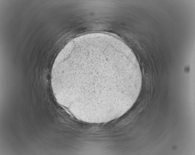 X0000116881265201002021141