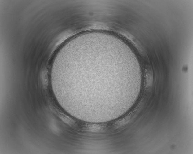 X0000116881266201002021141
