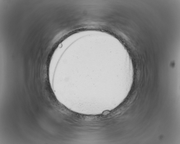 X0000116881267201002021141