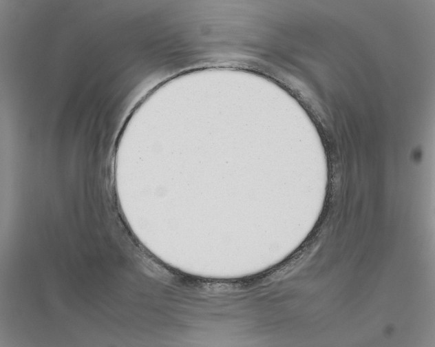 X0000116881275201002021140