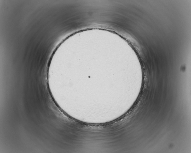 X0000116881280201002021140