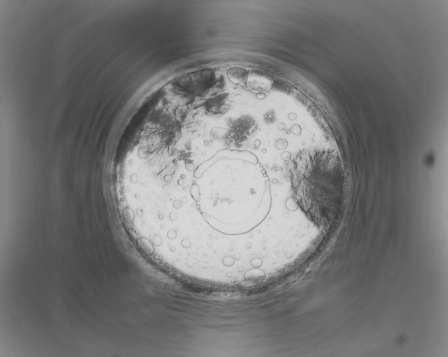 X0000116881283201002021140