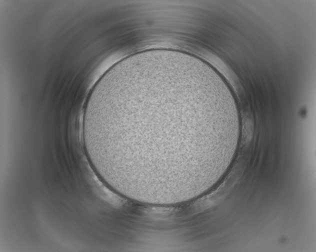 X0000116881290201002021140