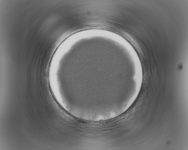 X0000116881291201002021140