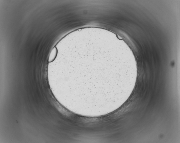 X0000116881292201002021140