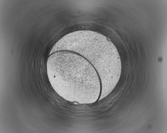 X0000116881298201002021140