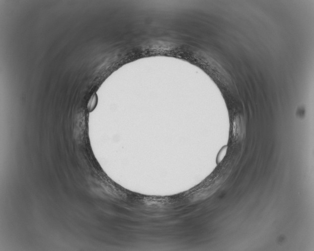 X0000116881299201002021140