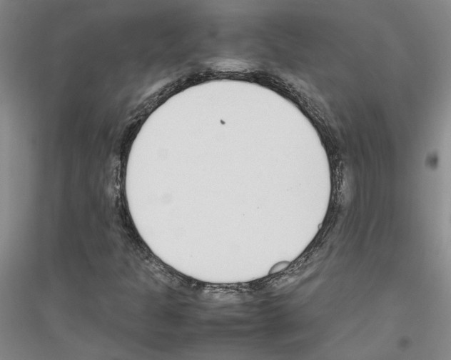 X0000116881301201002021140