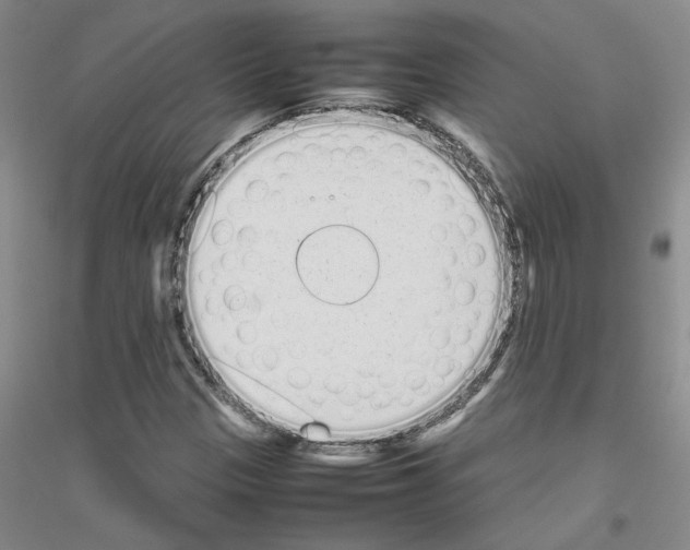 X0000116881305201002021140