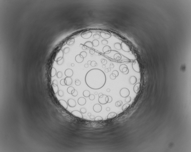 X0000116881311201002021140