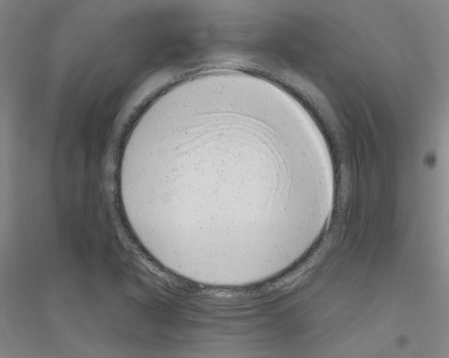 X0000116881318201002021140
