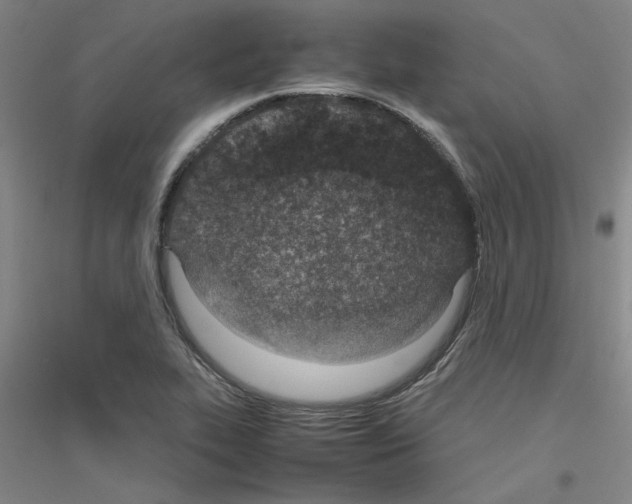 X0000116881319201002021140