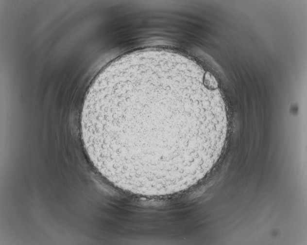 X0000116881321201002021140