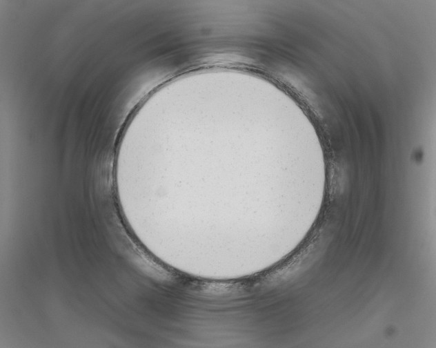 X0000116881322201002021140