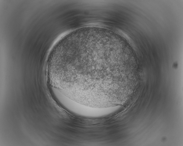X0000116881323201002021140