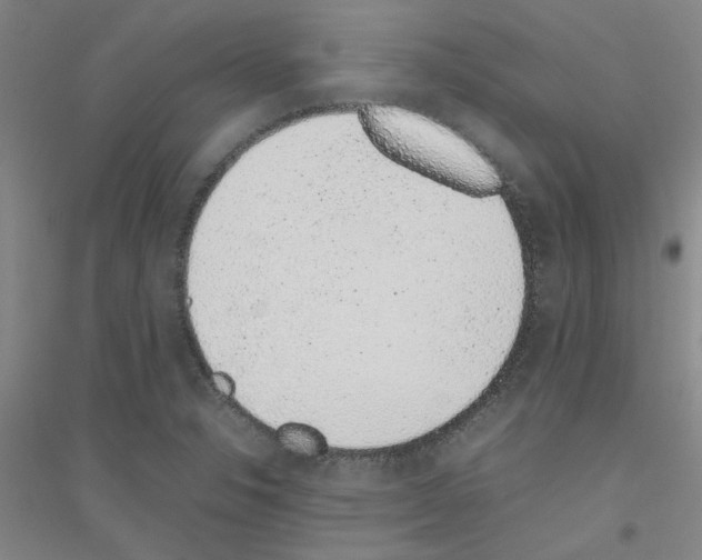 X0000116881326201002021140