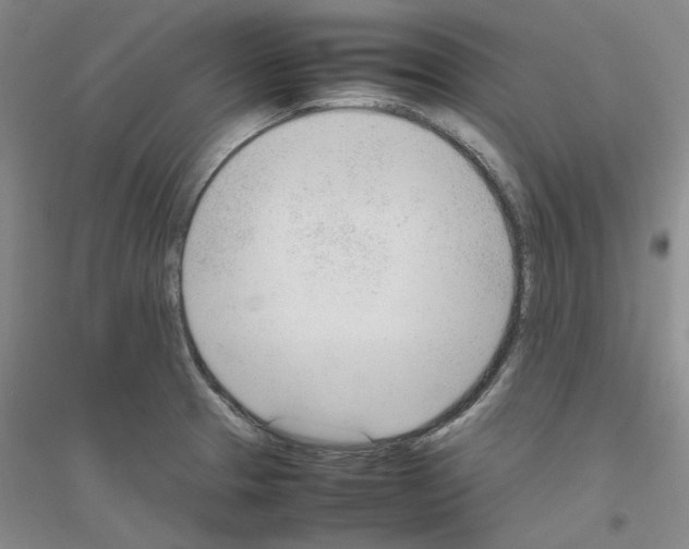 X0000116881329201002021140