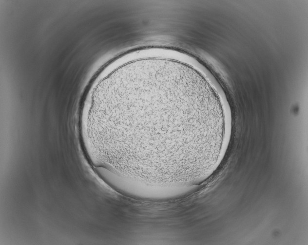 X0000116881334201002021140