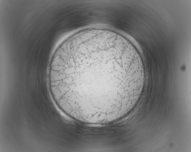 X0000116881343201002021140